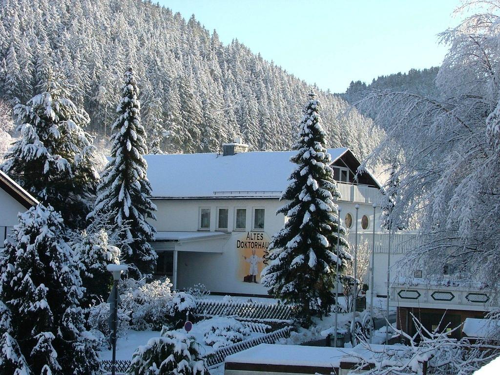 Altes Doktorhaus - Hotel Garni Віллінген Екстер'єр фото